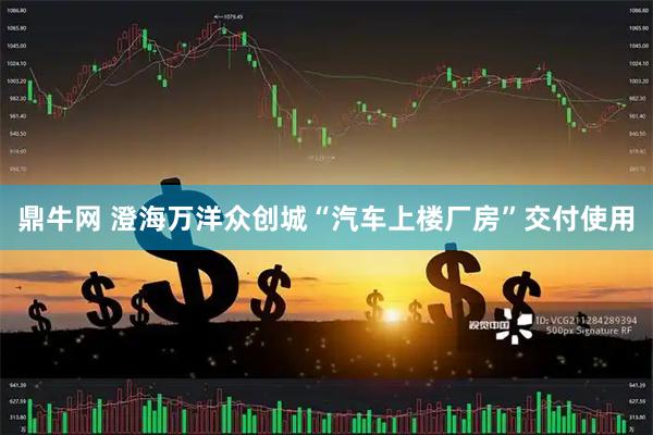 鼎牛网 澄海万洋众创城“汽车上楼厂房”交付使用